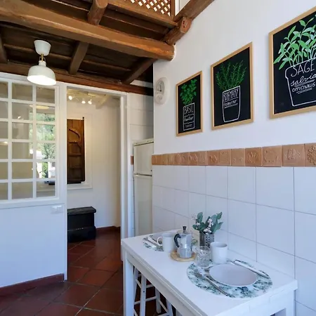 Apartment Casa Falcone 16 Rome